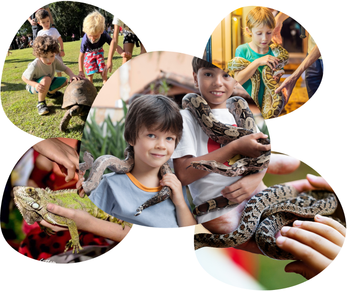 Crianças interagindo com animais nas apresentações do Bicho Educa