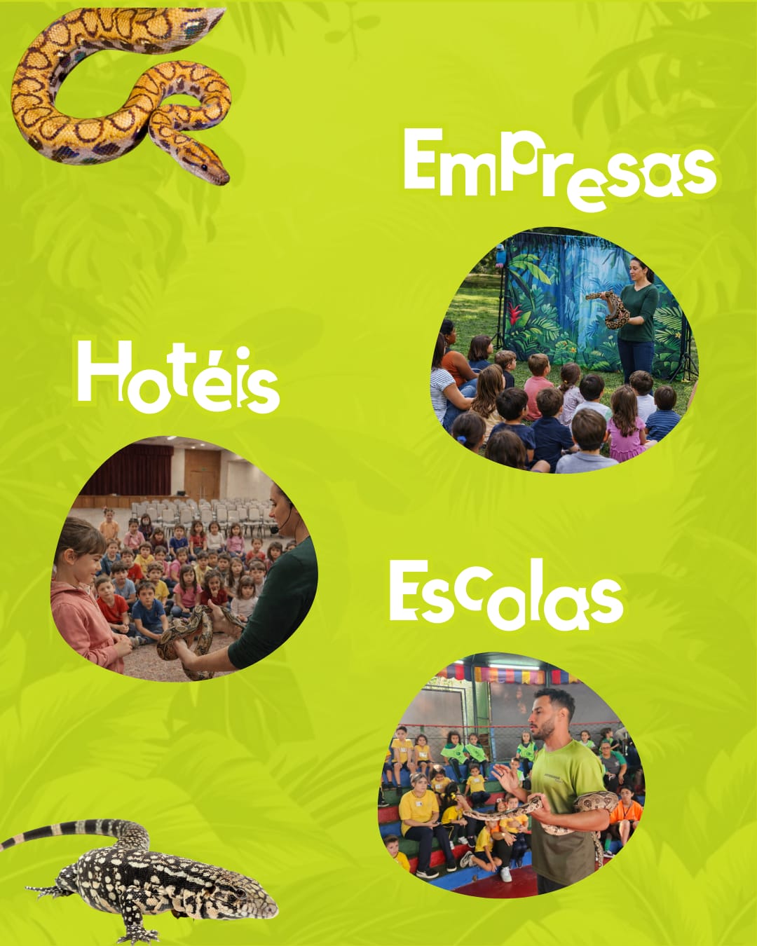 Apresentação Bicho Educa em evento